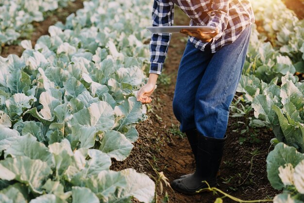 Une femme asiatique et un agriculteur travaillant ensemble dans une ferme de légumes à salade hydroponique biologique à l'aide d'une tablette inspectent la qualité de la laitue dans un jardin à effet de serre Agriculture intelligente