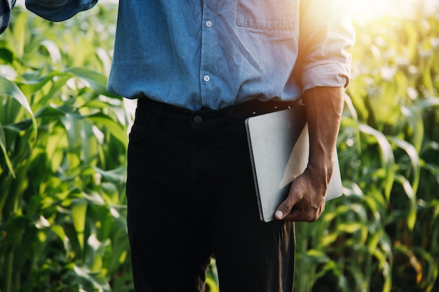 Une femme asiatique et un agriculteur travaillant ensemble dans une ferme de légumes à salade hydroponique biologique à l'aide d'une tablette inspectent la qualité de la laitue dans un jardin à effet de serre Agriculture intelligente