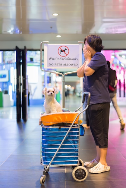 Femme asiatique et le chien avec signe Animaux non autorisés