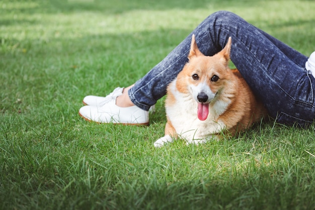 Photo femme asiatique, à, gallois, corgi, pembroke, chien