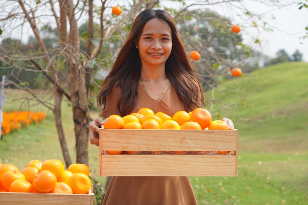Femme asiatique soulevant un panier d'oranges dans un champ