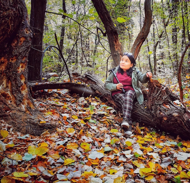 Photo femme assise sur un arbre dans la forêt en automne