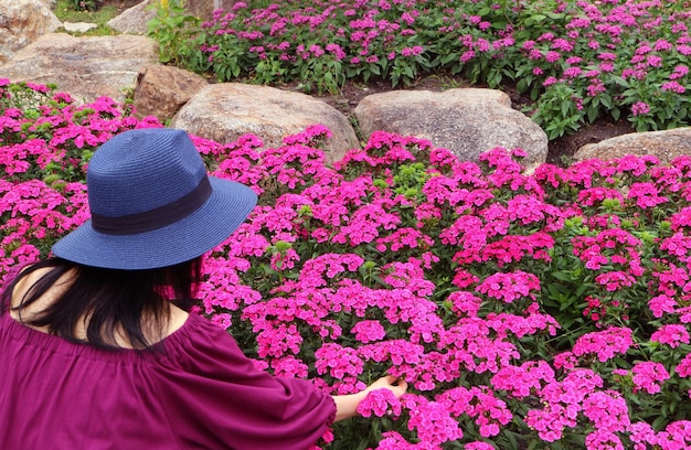 Femme au chapeau à bords larges touchant doucement les fleurs de Dianthus roses chaudes qui fleurissent dans le jardin