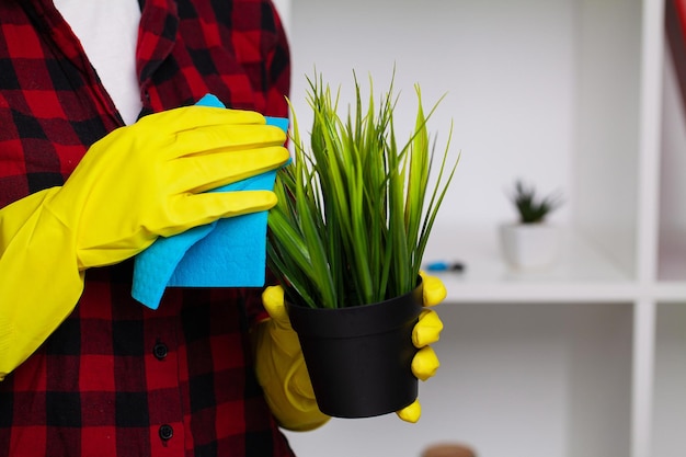 Une femme au foyer s'occupe des plantes d'intérieur à la maison