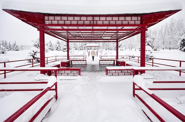 Femme au jardin japonais d'hiver