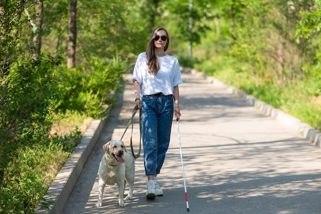 Femme aveugle marchant avec un chien-guide dans le parc