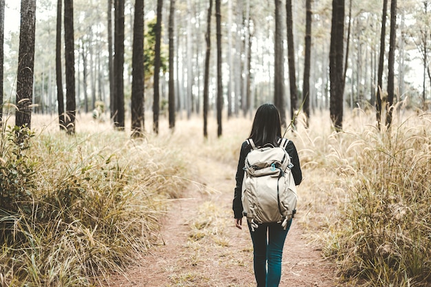 Femme De Backpacker De Voyage