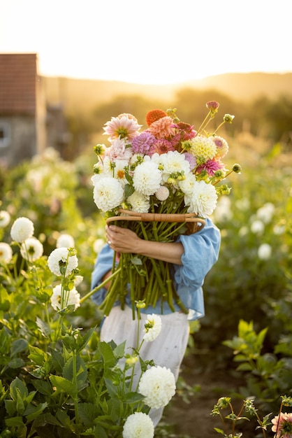 Femme avec beaucoup de fleurs sur la ferme de dahlia à l'extérieur