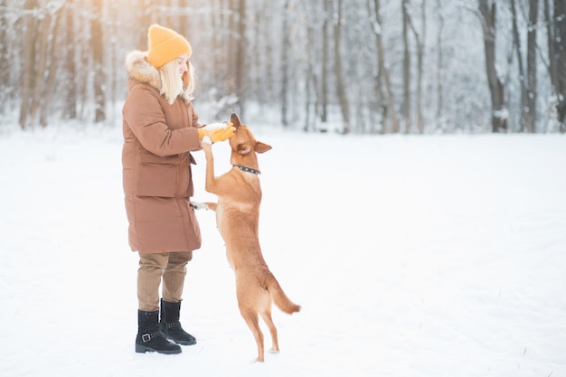 Femme bénévole jouant avec un chien sans-abri au refuge pour animaux à l'extérieur