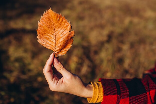 Femme blonde tient une feuille jaune dans la main