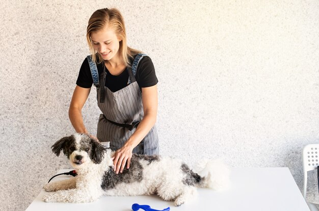 Femme blonde le toilettage d'un chien à la maison