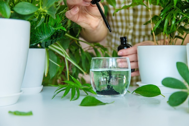 Une femme boit de la chlorophylle liquide Mise au point sélective