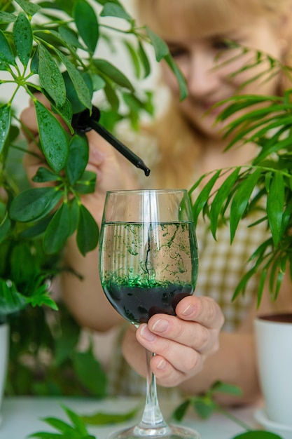 Une femme boit de la chlorophylle liquide Mise au point sélective