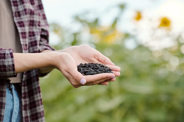 Femme brune mature en bonnet et vêtements décontractés prenant des graines de tournesol fraîches de la main d'une jeune femme blonde en chemise en milieu rural