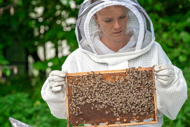 Femme avec un cadre en cire avec des abeilles en apiculture