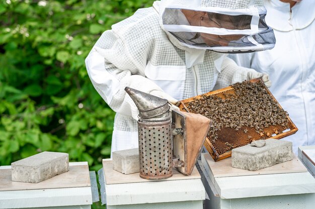 Femme avec un cadre en cire avec des abeilles en apiculture