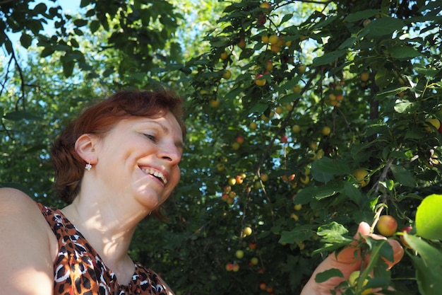 Une femme caucasienne de 40 ans recueille la prune cerise d'un arbre et rit La récolte en Serbie Prunus cerasifera est une espèce de prune connue sous les noms communs de prune cerise et de prune myrobalan