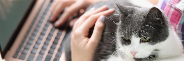 Femme avec chat à la maison