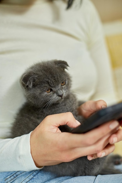 Femme avec un chaton écossais sur le canapé avec un chat téléphonique à l'aide d'un smartphone