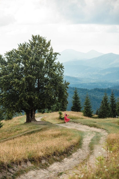 Femme sur le chemin près du vieux grand hêtre dans les montagnes