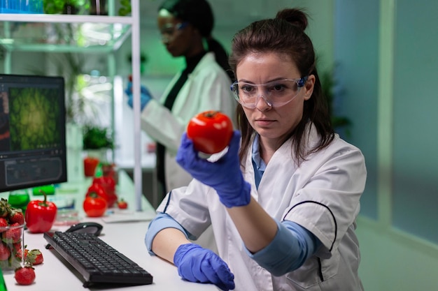 Femme chercheuse scientifique analysant la tomate biologique au cours d'une expérience pharmaceutique travaillant dans un laboratoire hospitalier de biologie. Un médecin chimiste découvre des fruits génétiquement modifiés en laboratoire