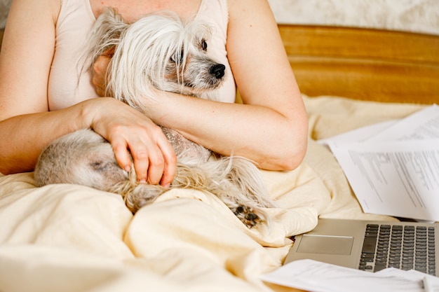 Femme avec chien à l'aide de l'ordinateur portable dans le lit, concept indépendant