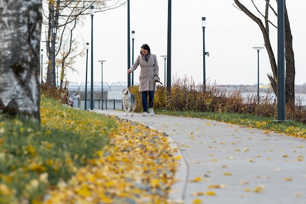 Femme avec chien marchant dans le parc côtier d'automne