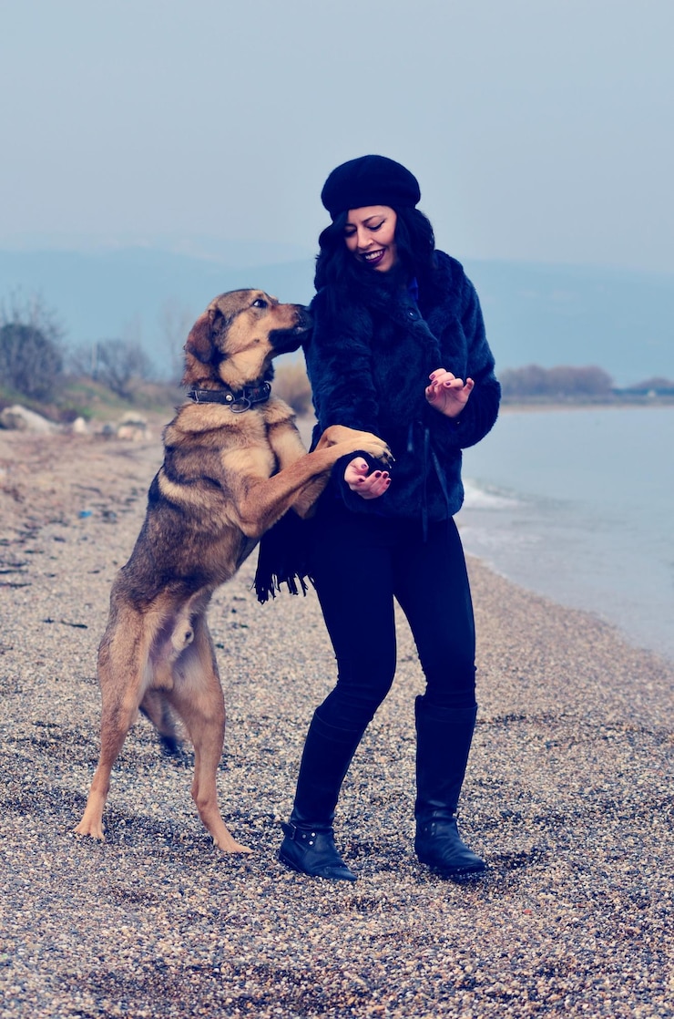 Photo une femme avec un chien sur la plage.