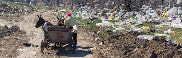 Une femme conduit une charrette le long de la route à travers le dépotoir. Catastrophe écologique.