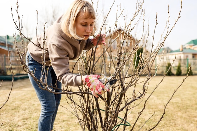 Une femme coupe des arbustes avec un nettoyage de printemps sécateur