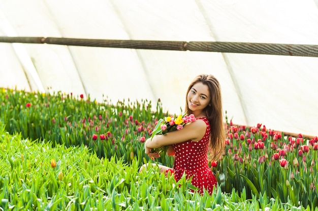 La femme coupe les tulipes dans la serre chaude, les fleurs fraîches