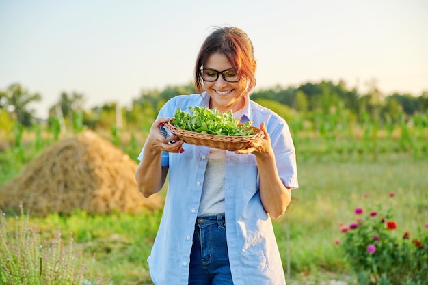 Femme cueillant des feuilles de basilic parfumées dans un panier