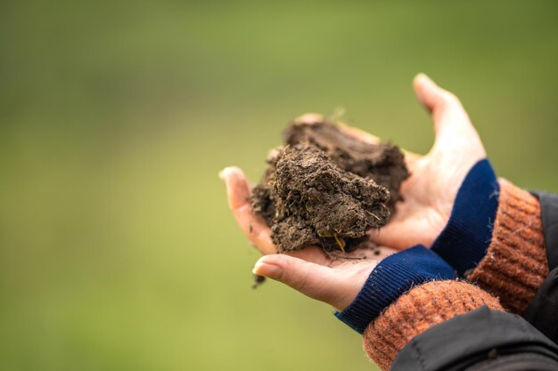 Femme dans l'agriculture regardant un échantillon de sol fille dans une ferme regardant les racines des plantes