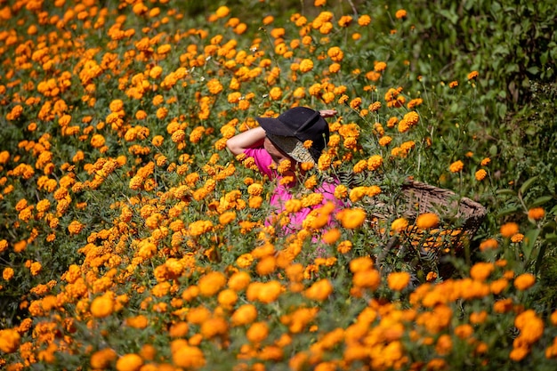 Une femme dans un champ de fleurs orange se cache derrière elle.