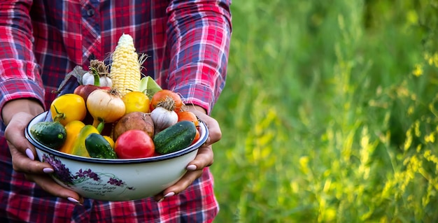 Photo femme dans le jardin avec des légumes dans ses mains mise au point sélective