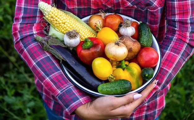 Femme dans le jardin avec des légumes dans ses mains mise au point sélective