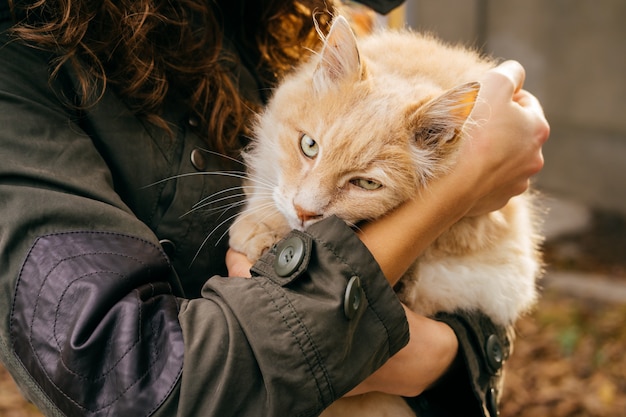 Photo femme dans une veste verte est titulaire d'un chat rouge moelleux à l'extérieur en automne gros plan