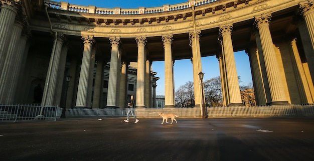 femme dans des vêtements décontractés jouant avec un chien de berger attentif tout en se regardant