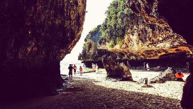 Photo une femme debout sur le tronc d'un arbre