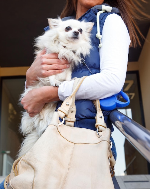 Femme décontractée tenant un petit chien blanc. Lumières naturelles