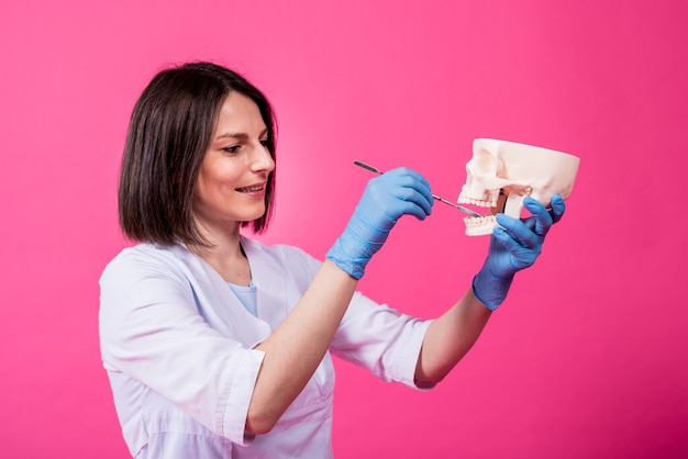 Une femme dentiste examine la cavité buccale du crâne artificiel avec des instruments dentaires stériles