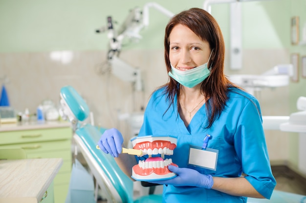 Femme dentiste montrant un modèle de mâchoire dentaire et une brosse à dents