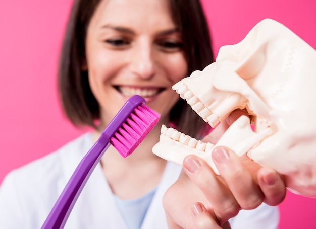 Femme dentiste se brosser les dents d'un crâne artificiel à l'aide d'une grande brosse à dents