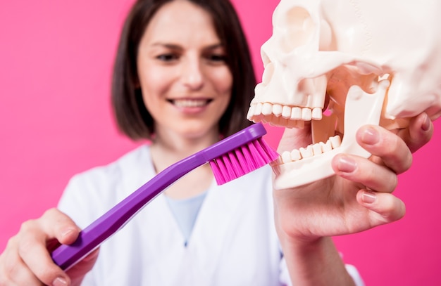 Femme dentiste se brosser les dents d'un crâne artificiel à l'aide d'une grande brosse à dents