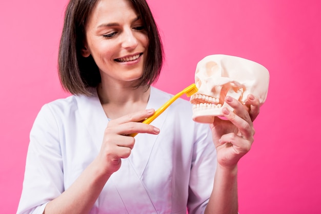 Femme Dentiste Se Brosser Les Dents D'un Crâne Artificiel à L'aide D'une Seule Brosse à Dents Touffue