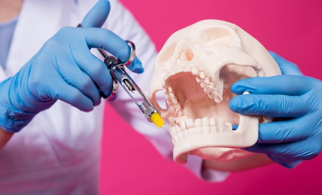 Une femme dentiste avec une seringue de covoiturage injecte un anesthésique dans la gencive du crâne artificiel