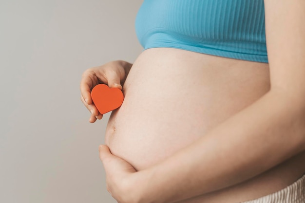Une femme enceinte après FIV tient un petit coeur rouge dans ses mains. Le concept de maternité, fertilité, nouvelle vie, fécondation in vitro. Photo de haute qualité
