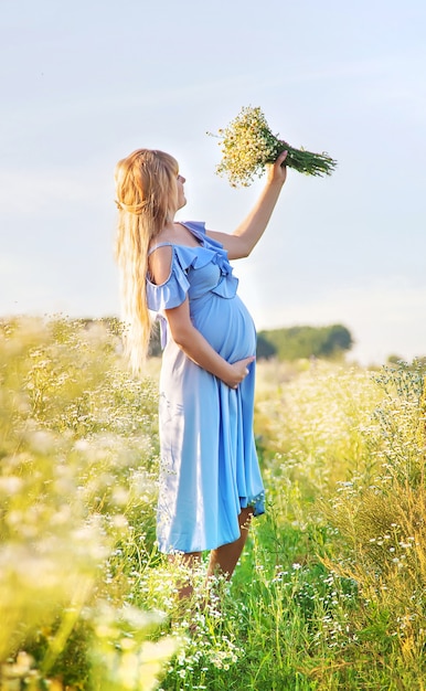 Femme enceinte, à, camomille, dans, mains