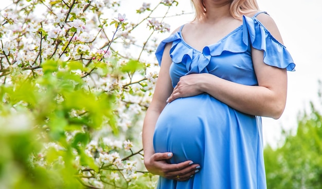 Femme enceinte dans le jardin des pommiers en fleurs Mise au point sélective