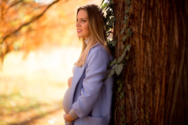 Femme enceinte dans le parc en automne